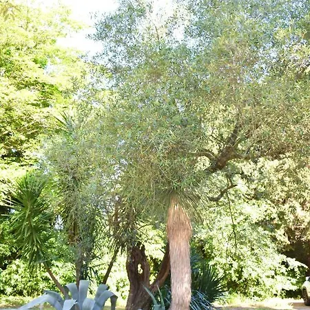 La Saint Andre - Sur