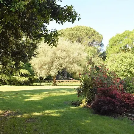 La Saint Andre - Sur 滨海阿热莱斯